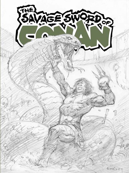 SAVAGE SWORD OF CONAN #15 SDCC EXCLUSIVE ALEX HORLEY CARDSTOCK INKS VAR (MR)